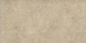 Gạch ốp tường Vitto D226 - 30x60