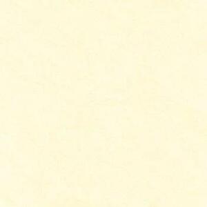 Gạch Perfetto lát nền Hoàn Mỹ PE-1528 - 60x60