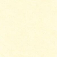 Gạch Perfetto lát nền Hoàn Mỹ PE-1528 - 60x60