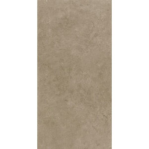 Gạch Royal 30×60 36844