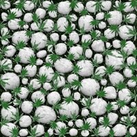 Gạch sân vườn Mikado MC401 - 40x40