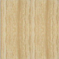 Gạch Taicera 60×60 67216N