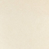 Gạch Taicera 60x60 P6060URBE