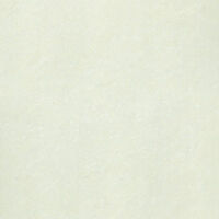 Gạch Taicera 60x60 P67703N1