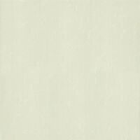 Gạch Taicera 60x60 P67763N1