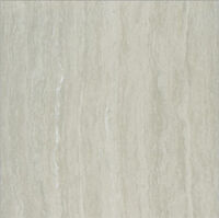 Gạch Taicera P87208N - 80×80 cm