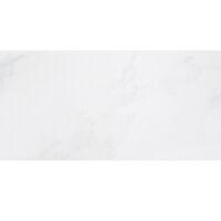 Gạch Taicera PC600x298-418N