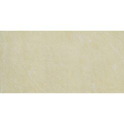 Gạch Taicera PC600x298-543N