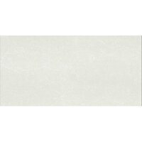 Gạch Taicera PC600X298-762N