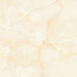 Gạch Tasa 50×50 TS-5025