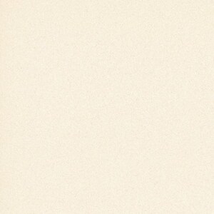 Gạch Tasa 50×50 TS-5101