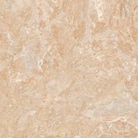 Gạch Tasa 80x80 8803