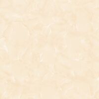 Gạch Titami 50x50 CTM 5683