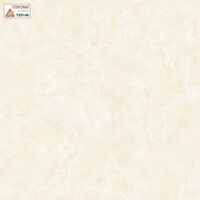 Gạch Toroma 50x50 TZ5140
