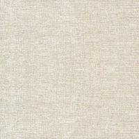 Gạch TTC 30×30 FM33002