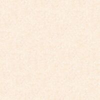 Gạch TTC 600×600 Canary CB66008