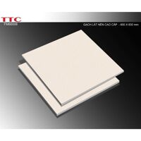 Gạch TTC 600×600 FB66008