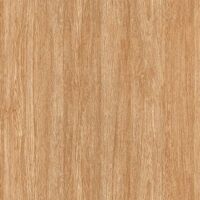 Gạch TTC CPM66201 600×600