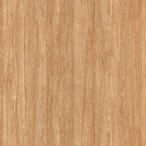 Gạch TTC CPM66201 600×600