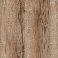 Gạch TTC PM66202 600×600