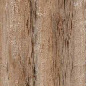 Gạch TTC PM66202 600×600