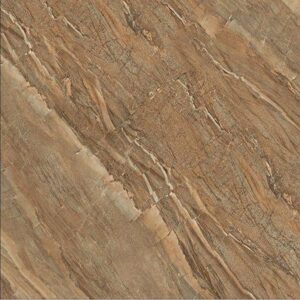 Gạch TTC PN88204 800×800