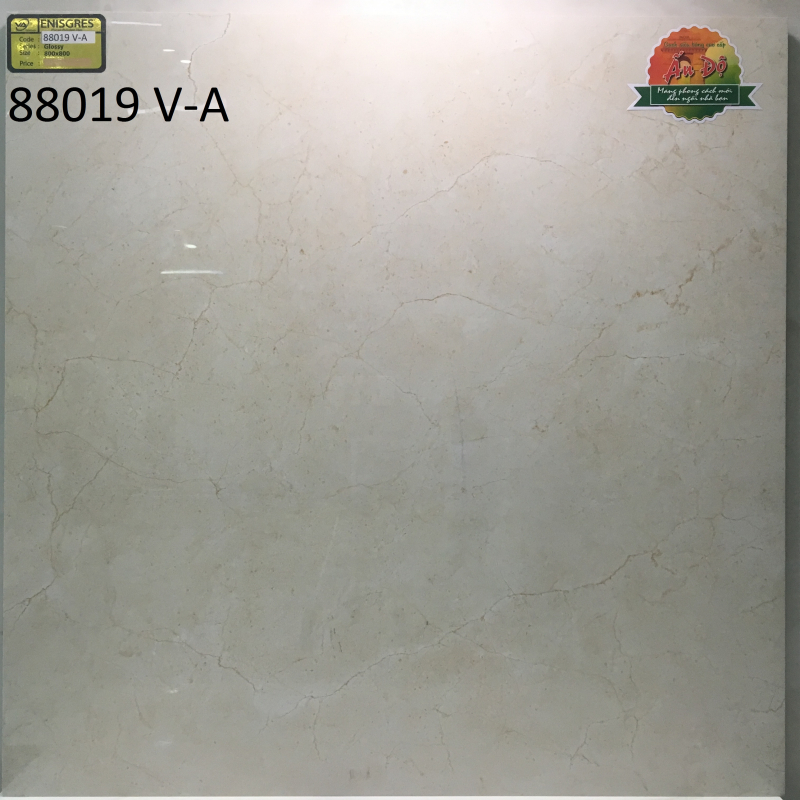 Gạch vi tinh ngọc thạch Ấn Độ 80x80 VA88019