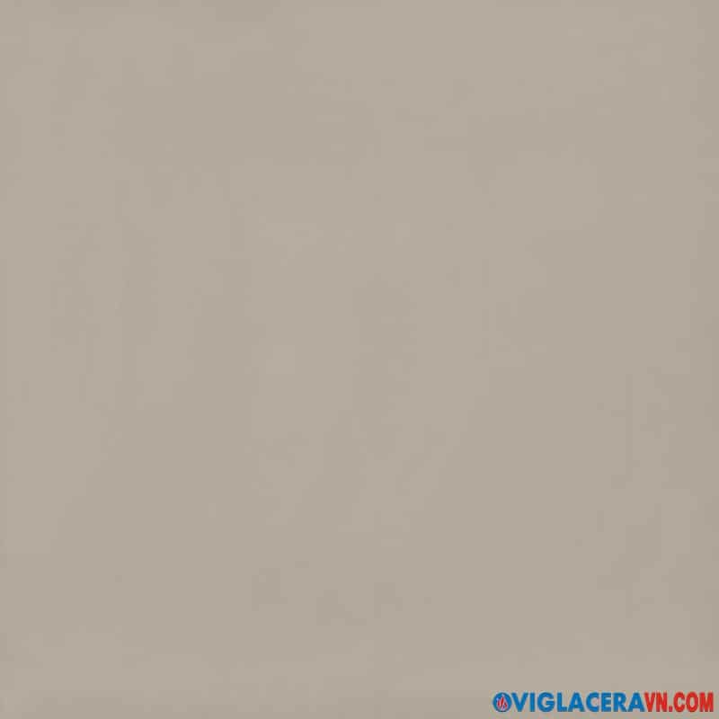 Gạch Viglacera 80×80 TS6-801