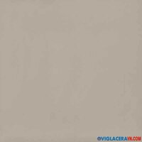 Gạch Viglacera 80×80 TS6-801