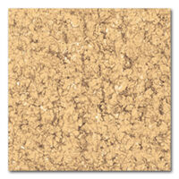 Gạch Viglacera TS2-606