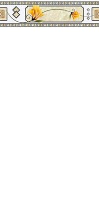 Gạch Ý Mỹ 30x60cm Y36000L