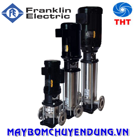 Máy bơm ly tâm trục đứng Franklin 10VR11HF-53 5.5HP 