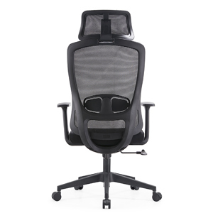 Ghế công thái học Edra EEC222