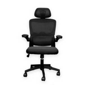 Ghế công thái học Ergonomic Rega TMS09