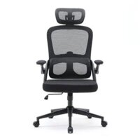 Ghế công thái học Ergonomic Sihoo M102C