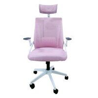 Ghế công thái học Ergonomic TMS04