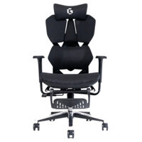 Ghế công thái học Gami X5