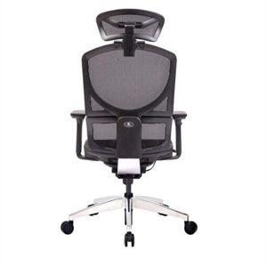 Ghế công thái học GTChair Dvary Isee mini