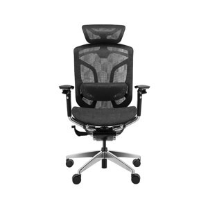 Ghế công thái học GTChair Dvary Butterfly Pro