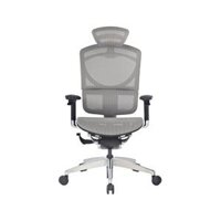 Ghế công thái học GTChair I-see X