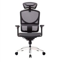 Ghế công thái học GTChair Dvary Isee mini