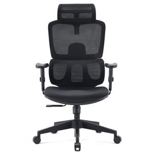 Ghế công thái học Sihoo M105C