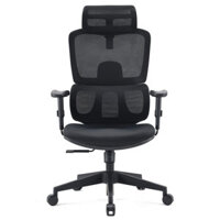 Ghế công thái học Sihoo M105C