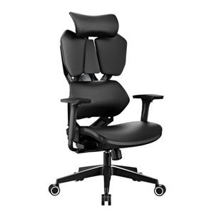 Ghế công thái học Sihoo Xiaoqi X5