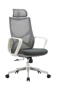 Ghế công thái học SMA C01