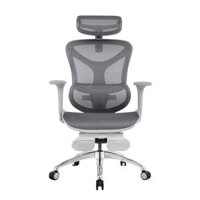 Ghế công thái học SMA E02