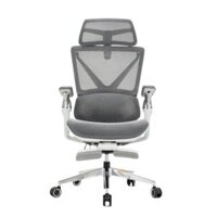 Ghế công thái học SMA Massage Chair EM-01