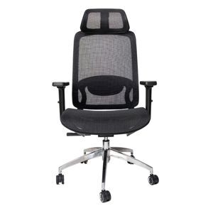 Ghế công thái học Upgen LumiX