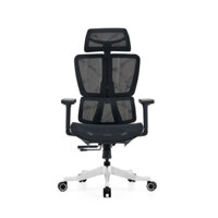 Ghế công thái học UPGen Revolution