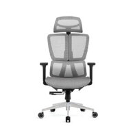 Ghế công thái học Upgen Revolution 2025